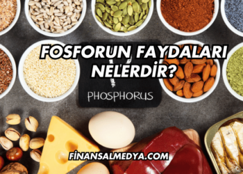 Fosforun Faydaları Nelerdir?