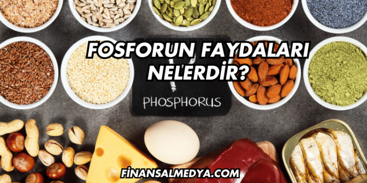 Fosforun Faydaları Nelerdir?