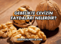 Göztaşı Faydaları Nelerdir?