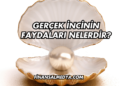 Gerçek İncinin Faydaları Nelerdir?