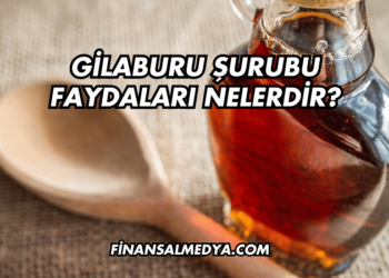 Gilaburu Şurubu Faydaları Nelerdir?