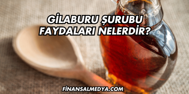 Gilaburu Şurubu Faydaları Nelerdir?