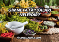 Gimneya Faydaları Nelerdir?