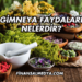 Gimneya Faydaları Nelerdir?