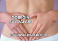 Göbeğin Faydaları