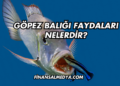 Göpez Balığı Faydaları Nelerdir?
