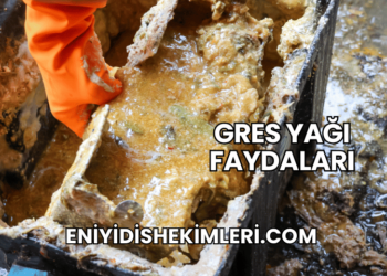 Gres Yağı Faydaları