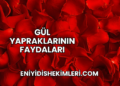Gül Yapraklarının Faydaları