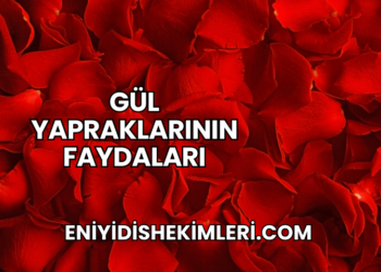 Gül Yapraklarının Faydaları