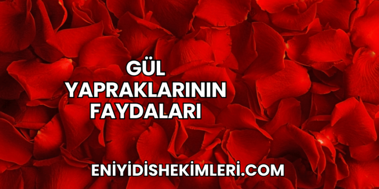 Gül Yapraklarının Faydaları