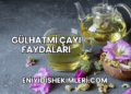 Gülhatmi Çayı Faydaları