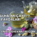 Gülhatmi Çayı Faydaları