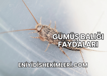 Gümüş Balığı Faydaları