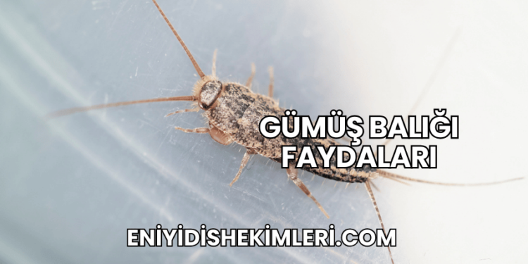 Gümüş Balığı Faydaları