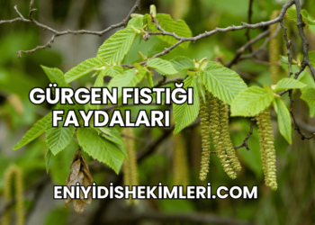 Gürgen Fıstığı Faydaları