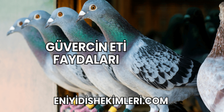 Güvercin Eti Faydaları