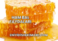 Ham Bal Faydaları