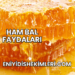 Ham Bal Faydaları