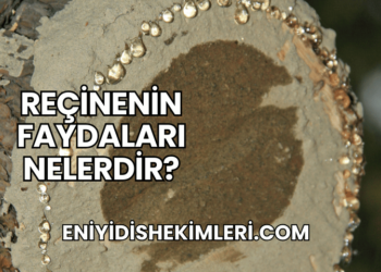 Reçinenin Faydaları Nelerdir?