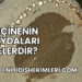 Reçinenin Faydaları Nelerdir?
