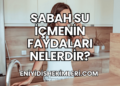 Sabah Su İçmenin Faydaları Nelerdir?