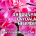 Sardunyanın Faydaları Nelerdir?