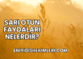 Sarı Otun Faydaları Nelerdir?