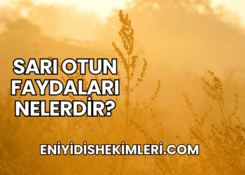 Sarı Otun Faydaları Nelerdir?
