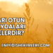 Sarı Otun Faydaları Nelerdir?