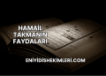 Hamail Takmanın Faydaları