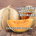 Hamilelikte Kavunun Faydaları