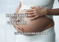 Hamilelikte Yulafın Faydaları