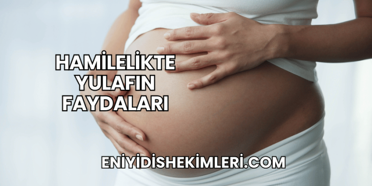 Hamilelikte Yulafın Faydaları