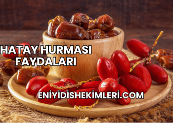 Hatay Hurması Faydaları