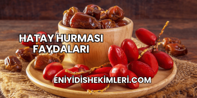 Hatay Hurması Faydaları