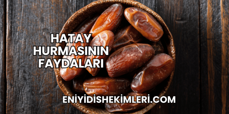 Hatay Hurmasının Faydaları
