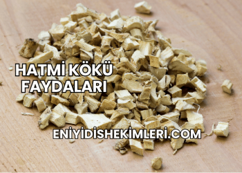 Hatmi Kökü Faydaları