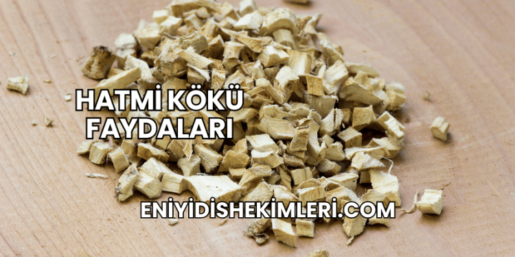 Hatmi Kökü Faydaları