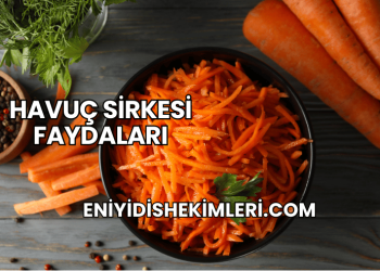 Havuç Sirkesi Faydaları
