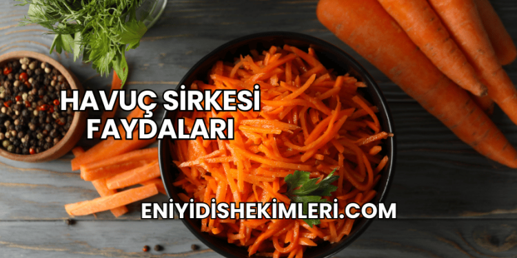 Havuç Sirkesi Faydaları