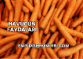 Havucun Faydaları