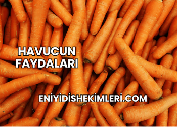 Havucun Faydaları