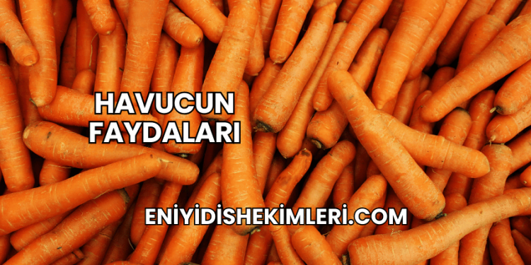 Havucun Faydaları