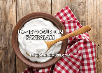 Hazır Yoğurdun Faydaları
