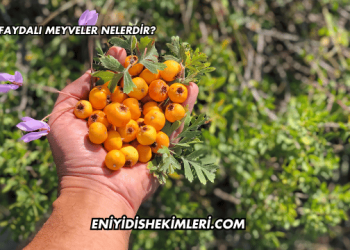 En Faydalı Meyveler Nelerdir?