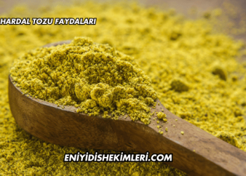 Hardal Tozu Faydaları