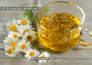 Papatya Çayı Kalbe Zararlı mı?