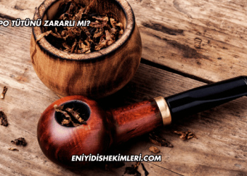 Pipo Tütünü Zararlı mı?