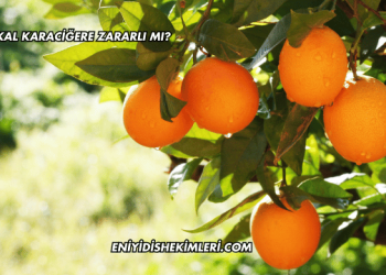 Portakal Karaciğere Zararlı mı?