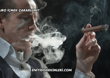 Puro İçmek Zararlı mı?